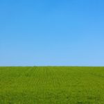 茫漠たる草原が果てしなく広がる